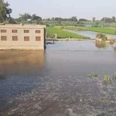 بالصور.. الفيضان يصل مصر ويغرق عشرات الأفدنة بالبحيرة