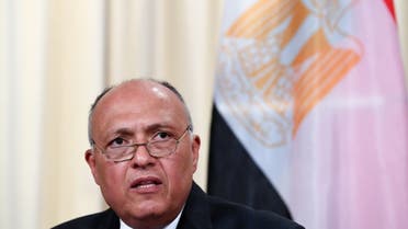Egypt's Foreign Minister Sameh Shoukry. (File photo: AFP)