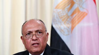 Egypt will not stand hands tied facing Turkey’s ambitions in Syria, Iraq, Libya: FM