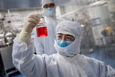 An engineer looks at monkey kidney cells as he make a test on an experimental vaccine for the COVID-19 coronavirus inside the Cells Culture Room laboratory at the Sinovac Biotech facilities in Beijing. (AFP)