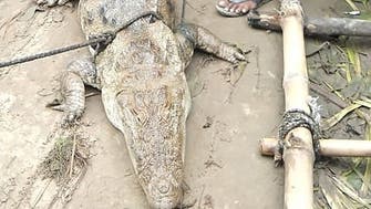 Villagers in northern India demand ransom after holding crocodile hostage   