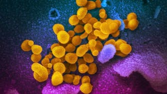 Delta overwhelming other COVID-19 variants of concern: WHO