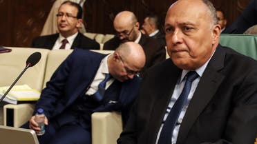 وزير الخارجية المصري سامح شكري(أرشيفية- فرانس برس)