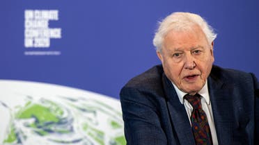 David Attenborough speaks during a conference about the UK-hosted COP26 UN Climate Summit, at the Science Museum in London, Britain February 4, 2020. (Reuters)