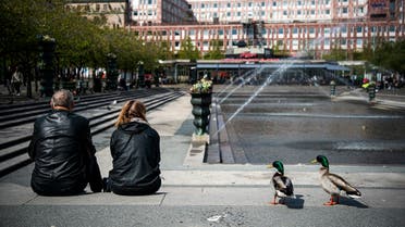Two ducks stand next to a couple as they enjoy the warm weather at the Kungstradgarden in Stockholm on May 8, 2020, amid the new coronavirus COVID-19 pandemic. (AFP)