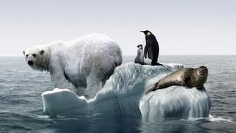 هشدار درباره گرمایش زمین؛ دو سوم حجم یخ دریای قطب شمال از بین رفته است