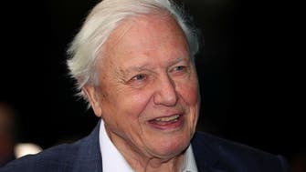 Invest $500 bln a year to protect nature, says David Attenborough at wildlife summit