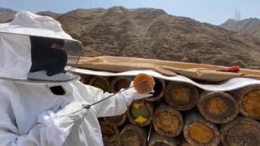 KSA: 1st lady Honey Producer