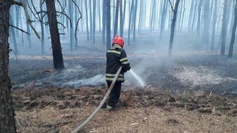 Four killed, 10 hospitalized in forest fires in eastern Ukraine 