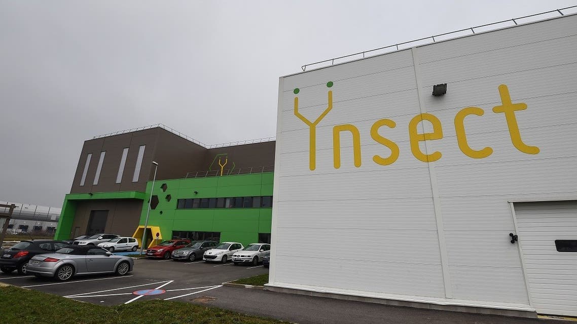 The “Ynsect” experimental insect farm in Dole, eastern France, a facility that produces premium proteins natural ingredients for aquaculture and pet nutrition. (AFP)