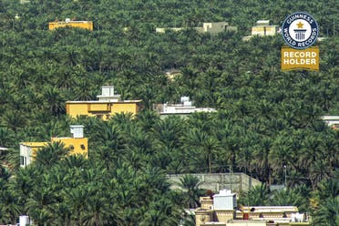Guinness World Records confirms al-Ahsa Oasis largest in the world. (Supplied)