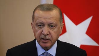 Erdogan tells European Union that progress needed on improving Turkey-EU ties