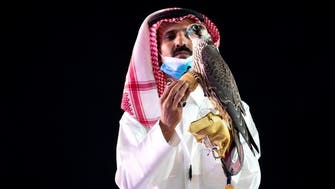 Saudi program to boost population of wild falcons praised by international experts