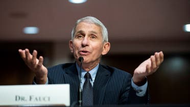 Anthony Fauci, director of the National Institute of Allergy and Infectious Diseases, speaks during a Senate Health, Education, Labor and Pensions Committee hearing. (Reuters)