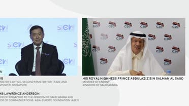 Prince Abdulaziz bin Salman - Climate Change Economics