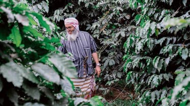 KSA: Coffee farming