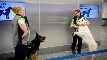 The coronavirus sniffer dogs named Valo (L) and E.T. stand by their trainers at the Helsinki airport in Vantaa, Finland, September 22, 2020. (Antti Aimo-Koivisto/Lehtikuva/AFP)