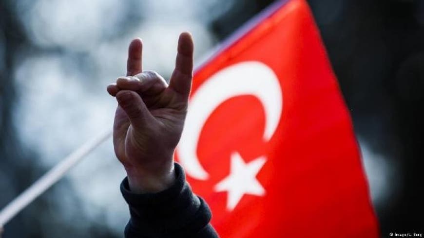 شعار حركة الذئاب الرمادية التركية