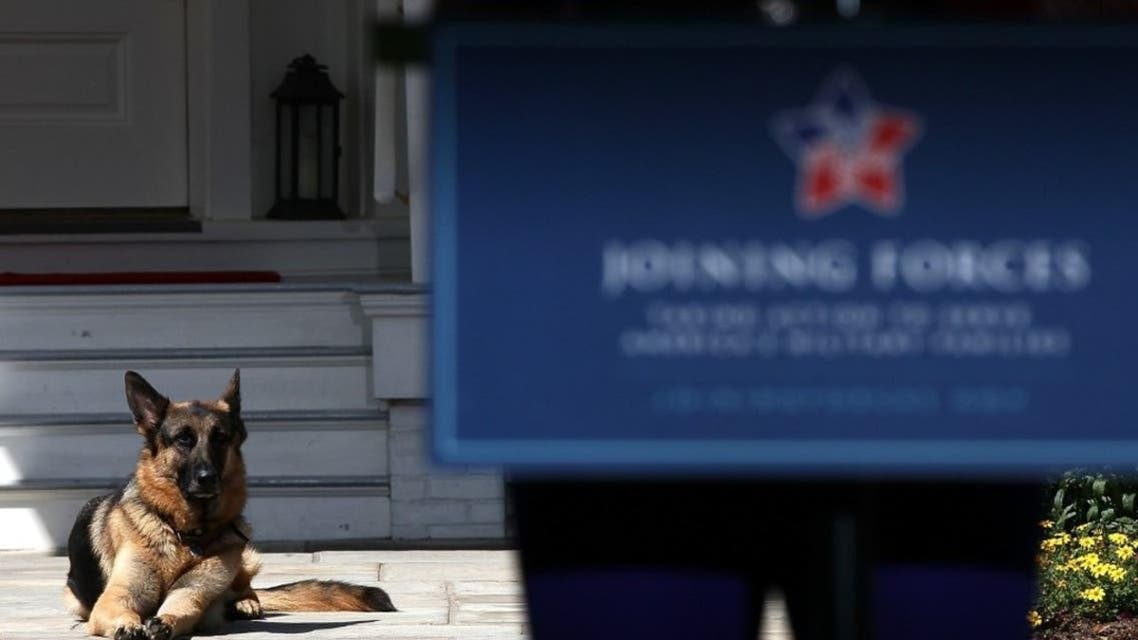 Dogs in White House
