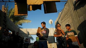 Palestinian baker keeps lion cubs on Gaza rooftop