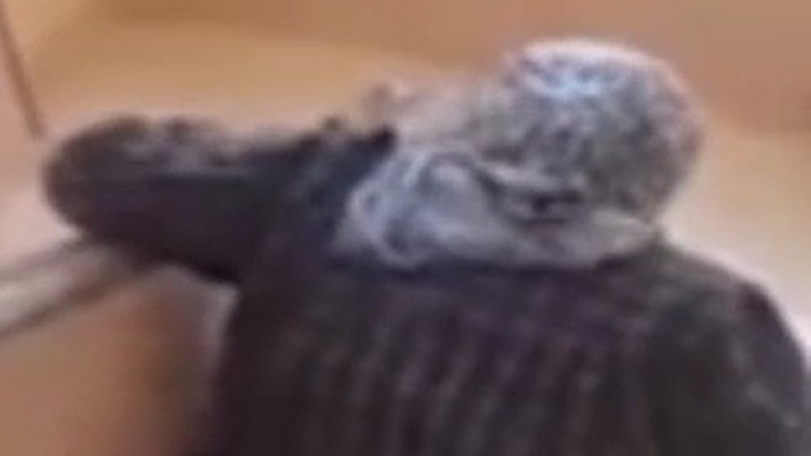 السيدة المصرية