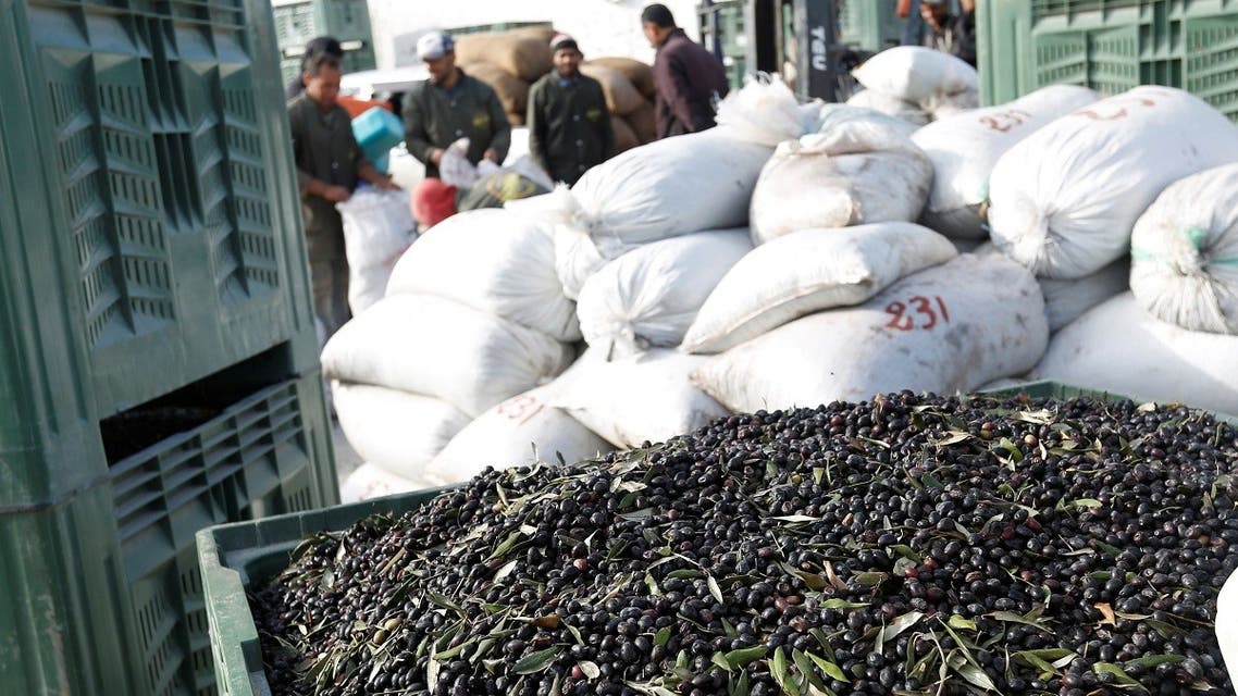 Workers stand in front of crates of olives at an olive oil processing factory in Beni Hassen city, Tunisia. (Reuters)
