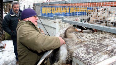 Municipal workers catch the last birds and ducks of several parks in Liege, 01 March 2006. (Michel Krakowski/Belga/AFP)