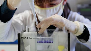 Hungarian biologist Alexandra Torok checks the purity of an antibody, a genetic sensor of sorts, manufactured by a small family company and sold to the largest pharmaceutical companies in the race for a coronavirus vaccine, in Szirak, Hungary, November 13, 2020. (Reuters)