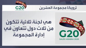 ترويكا مجموعة العشرين