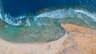 بالصور.. هذا الشاطئ في السعودية مليء بالشعاب المرجانية