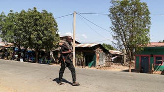 Ethiopia has ‘destroyed’ over 10,000 Tigrayan troops: Ethiopian news agency