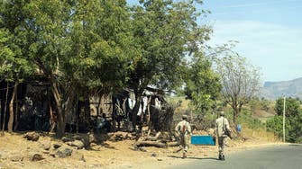 الحكومة الإثيوبية تعلن انتزاع السيطرة على بلدتين من قوات تيغراي