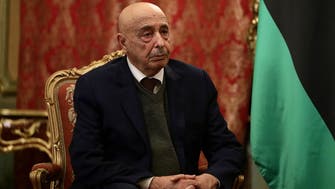 عقيلة صالح يبحث في القاهرة توحيد المؤسسات الليبيبة