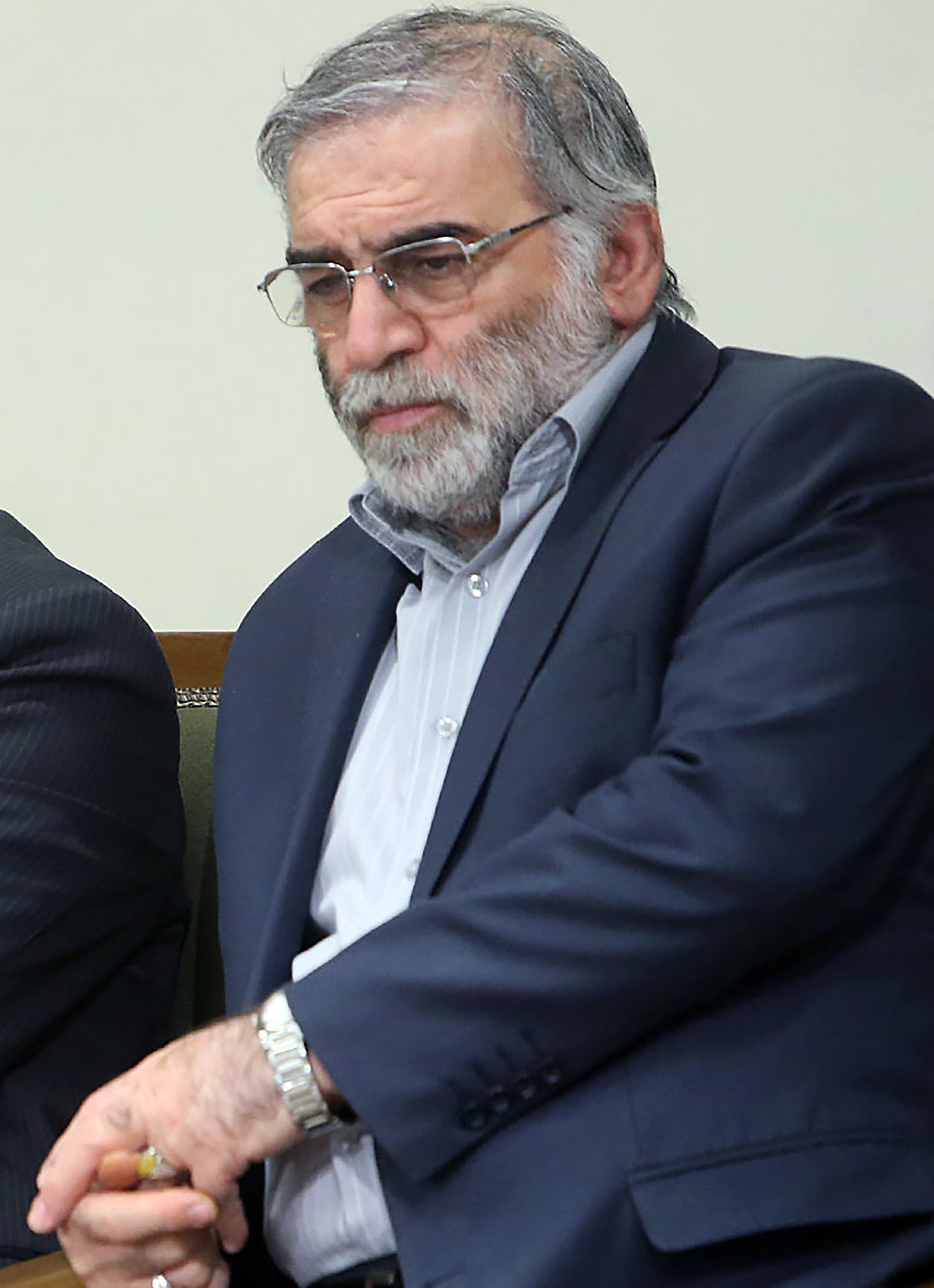 محسن فخري زاده