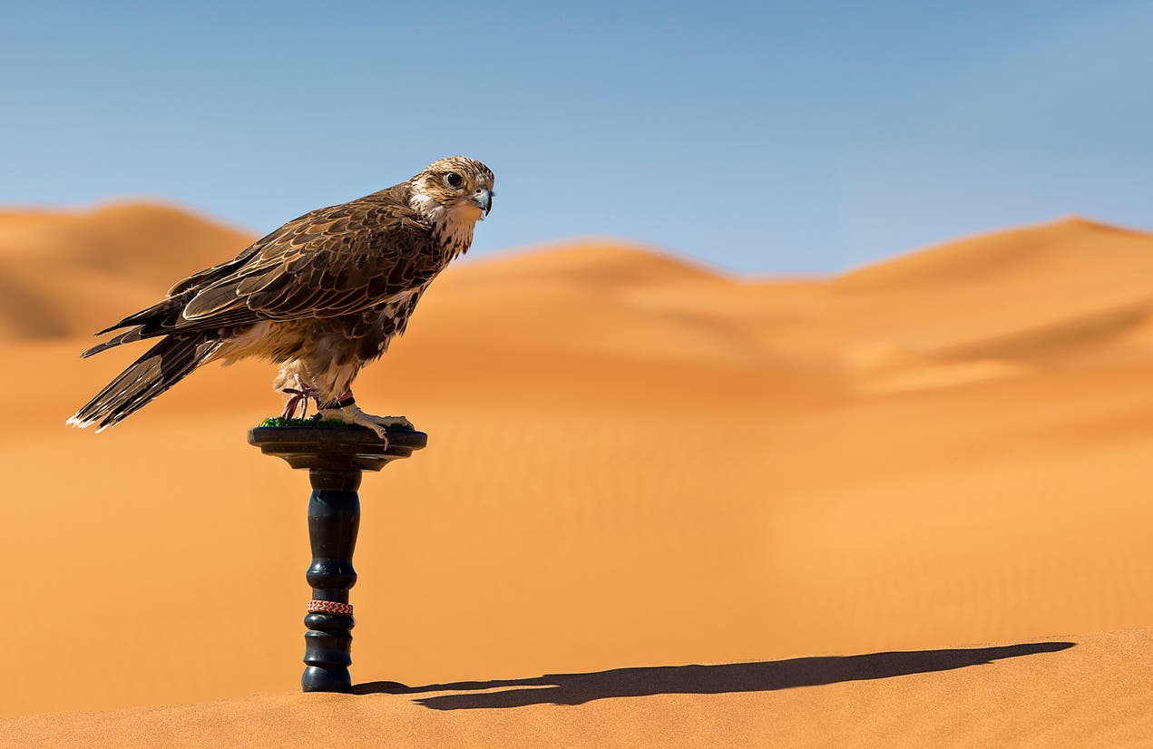 تعبيرية