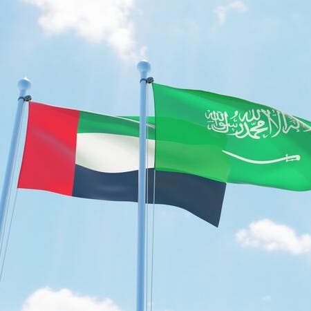بيان سعودي إماراتي يؤكد أهمية التزام كافة الدول المشاركة باتفاقية أوبك+ 