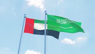 الإمارات تدين هجمات الحوثي: أمننا وأمن السعودية كل لا يتجزأ
