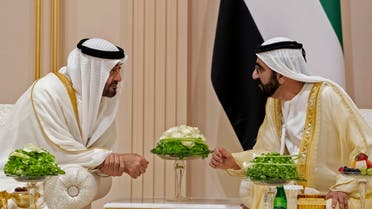 UAE's Sheikh Mohammed bin Zayed, Mohammed bin Rashid (AFP)