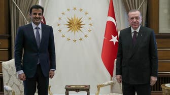 استثمارات قطر بتركيا تثير انزعاجاً متزايداً.. وهكذا رد أردوغان