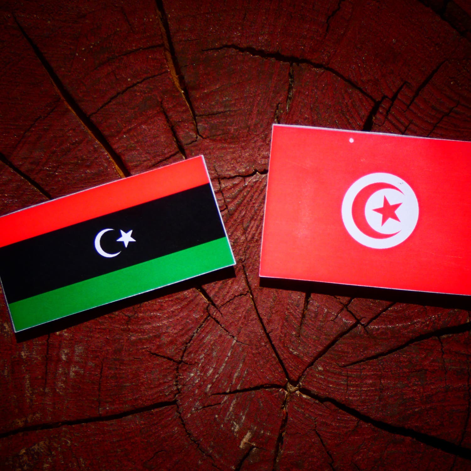 ليبيا تستعد لتسليم زوجات وأبناء مقاتلي "داعش" إلى تونس