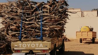 البيئة السعودية تصادر 150 طناً من الحطب المحلي في 5 مناطق