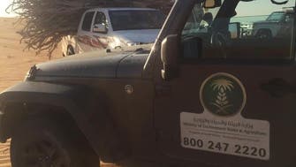 سعودی وزارت ماحولیات کی کارروائی، ایک ہفتے میں 5 مقامات پر150 ٹن لکڑی ضبط