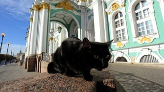 French doctor leaves ‘fortune’ to nearly 70 cats at Russia’s Hermitage museum