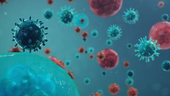 دراسة: مؤتمر طبي تسبب في إصابة 300 ألف بفيروس كورونا