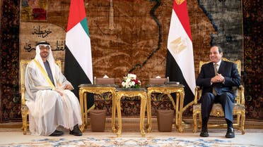 Abu Dhabi Crown Prince Sheikh Mohamed bin Zayed Al Nahyan and Egyptian President Abdel Fattah al-Sisi in Cairo. (Twitter)