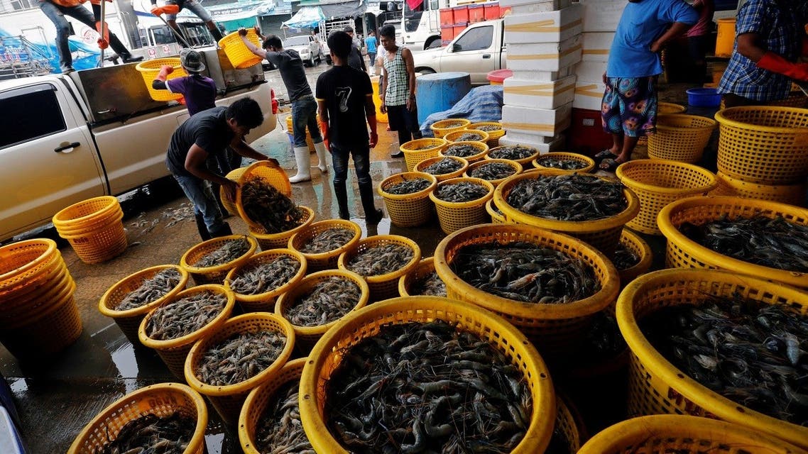 Myanmar migrant workers sort shrimp at a wholesale market for shrimp and other seafood in Mahachai, in Samut Sakhon province. (File photo: Reuters)