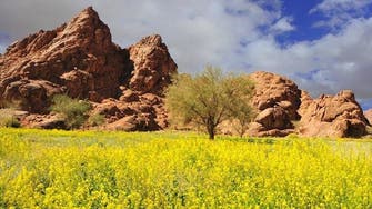 مشاهد رائعة لمتنزه طبيعي شمال السعودية تحيطه جبال ونقوش أثرية
