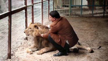 Ghali al-Marajlah with one of his lions. (Reuters)