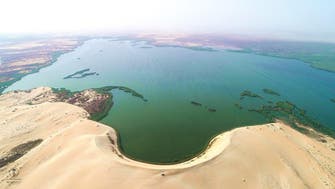 سعودی عرب کے بحیرہ اصفر میں موسم سرما کے رنگ