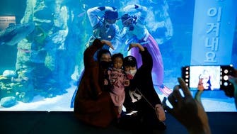 Divers in ‘Hanbok’ send underwater New Year greetings at South Korea aquarium 